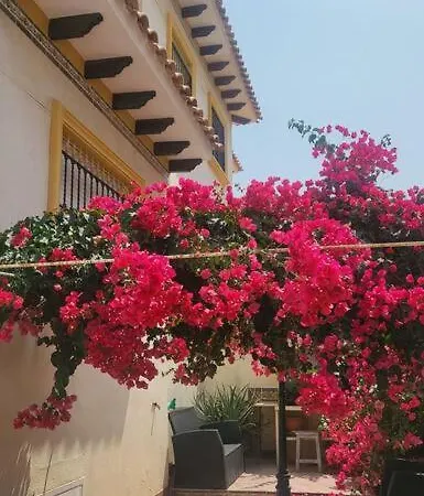 Casa Mario, La Zenia Boulevard Area,fantastic 2 Bedrooms, 2 Bathrooms House With Communal Swimming Pool And Barbecue Apartment